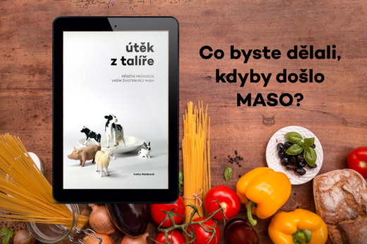 Útěk z talíře